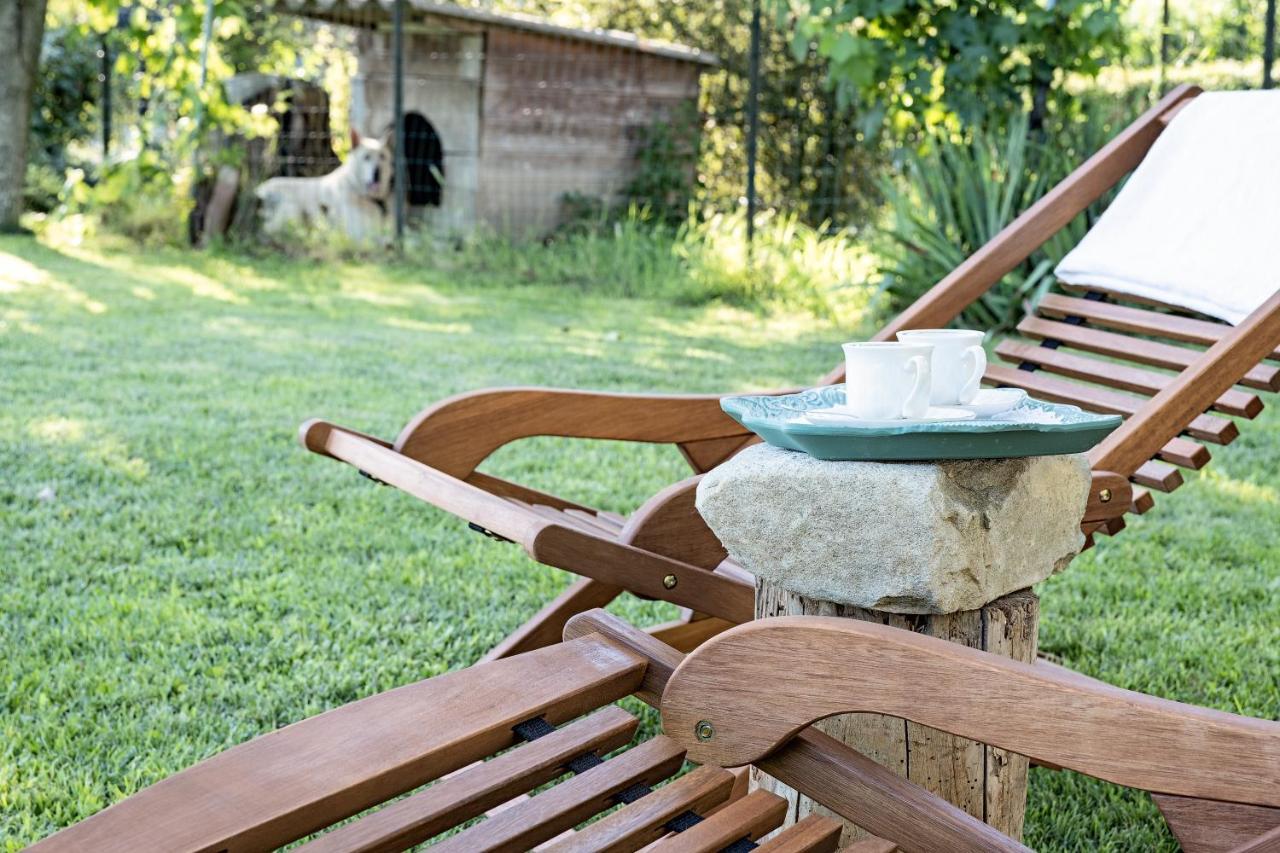 Villa Curte Nicia Nizza Monferrato Zewnętrze zdjęcie