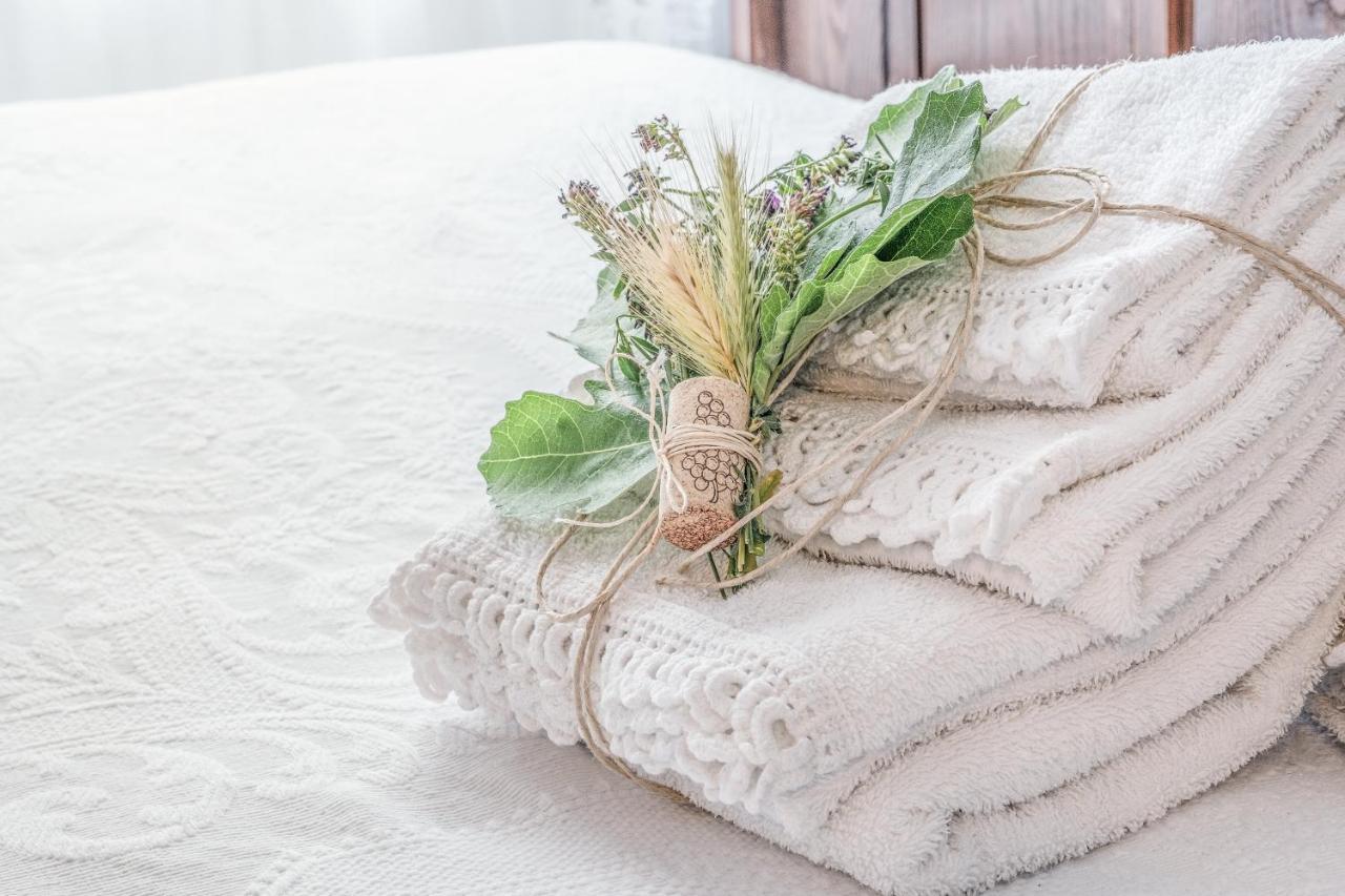 Villa Curte Nicia Nizza Monferrato Zewnętrze zdjęcie